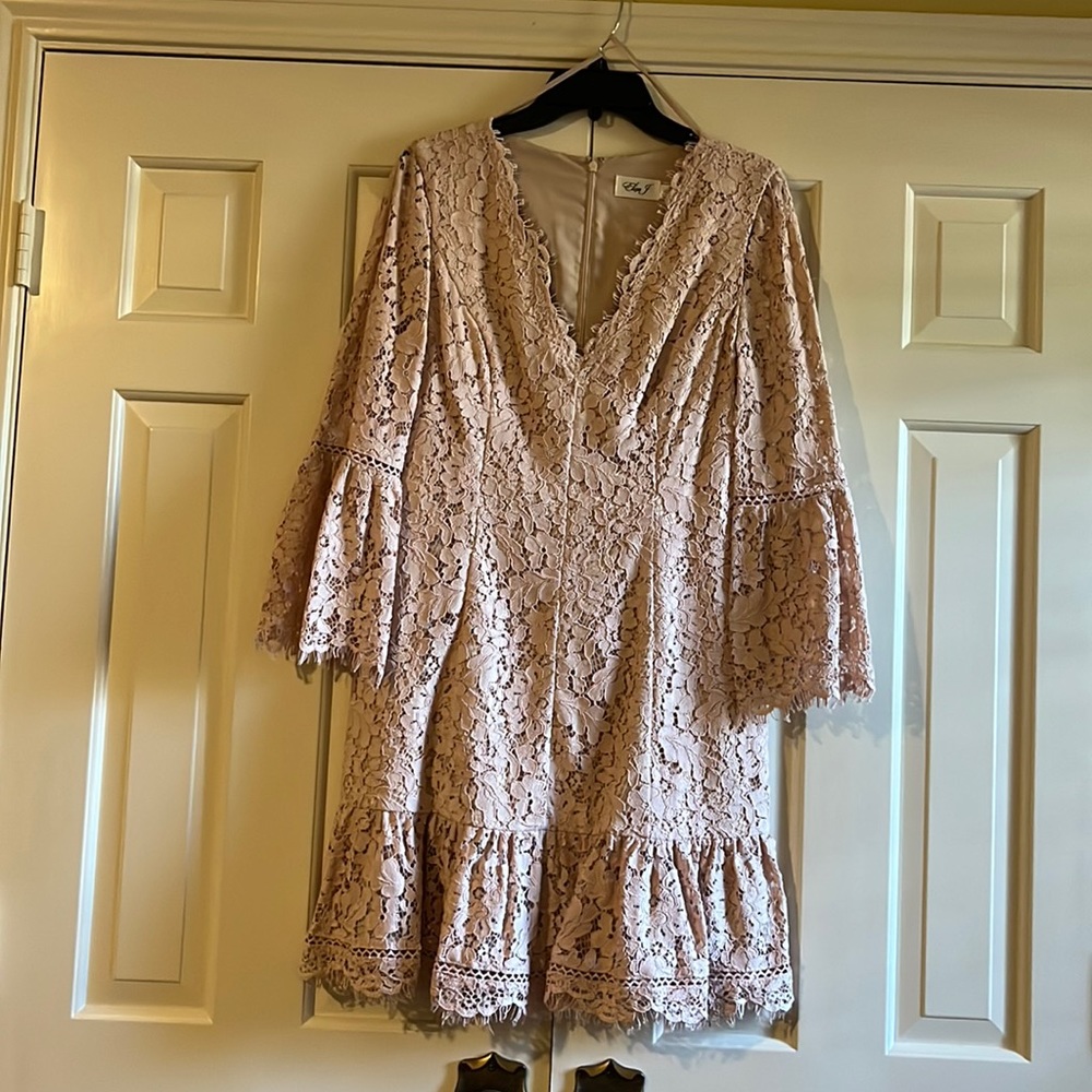 Light pink Eliza J lace dress size 12